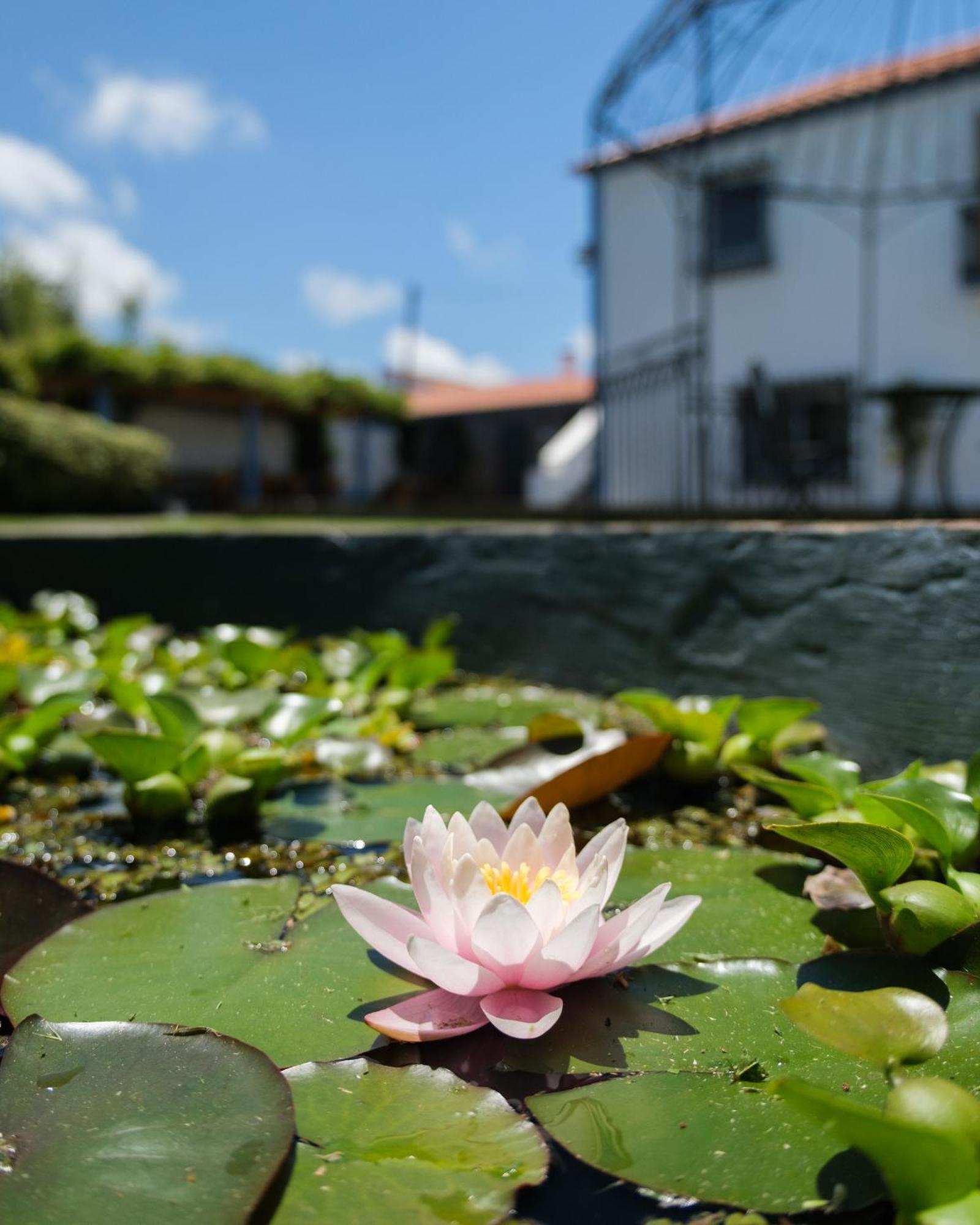 Quinta Morazes Casas De Campo Ribeira Grande Esterno foto